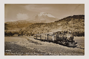 Foto - Postal Atlixco, Puebla,Bosque de Santa Catalina,1908 aproximada