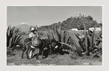 Foto - Postal Cholula, Puebla,Tlachiquero, Popocatépetl, Pirámide y Santuario de los Remedios.,1930 -1940 aproximada