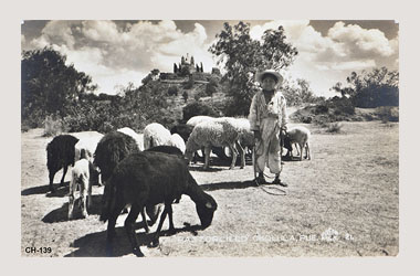 Foto - Postal Cholula, Puebla,Pirámide,No identificada