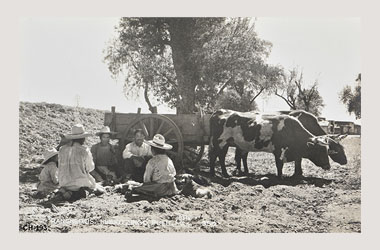 Foto - Postal Huejotzingo, Puebla,Ciudad,No identificada